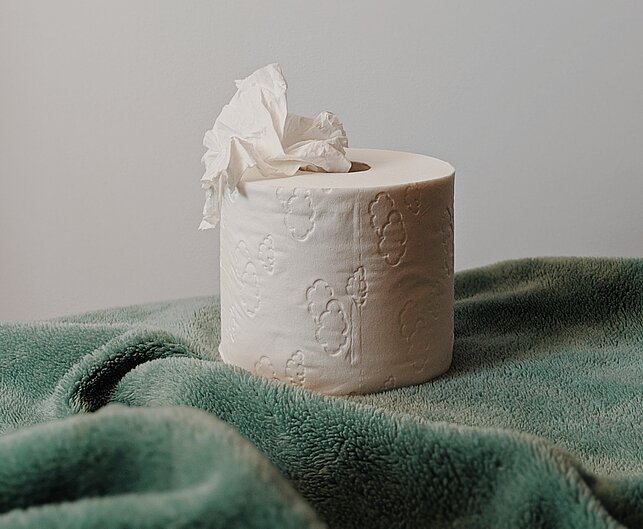 Toilettenpapierrolle seht auf einer grünen Decke